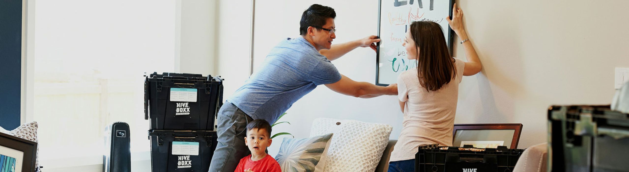 St Pete Hurricane Windows