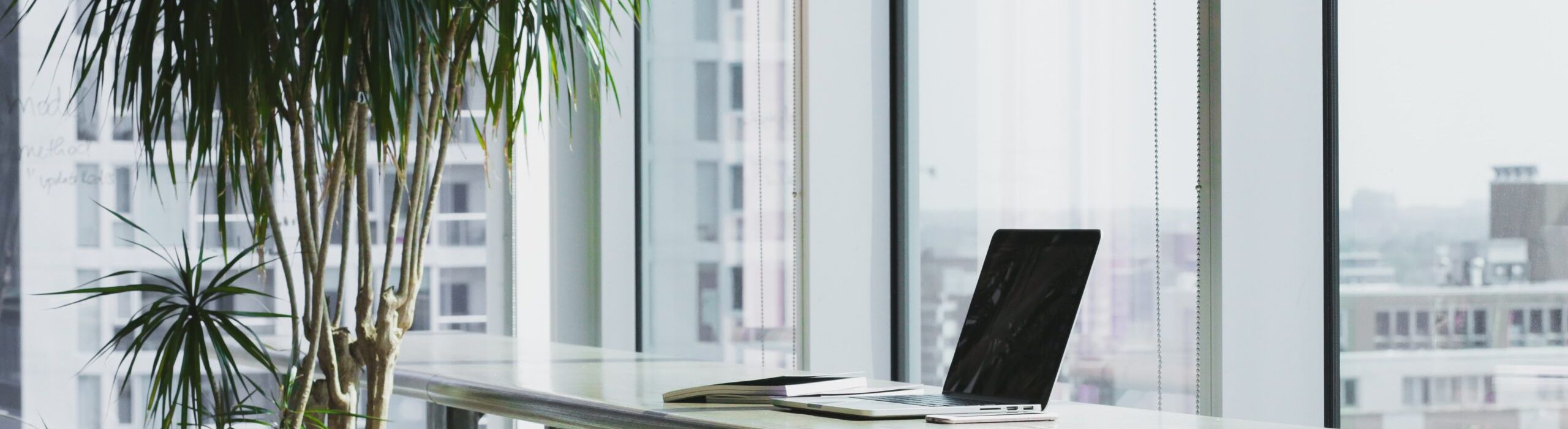 Tampa Bay window installation company