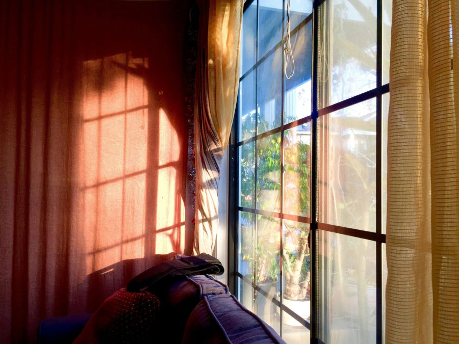 St Pete Window Replacement Near Me