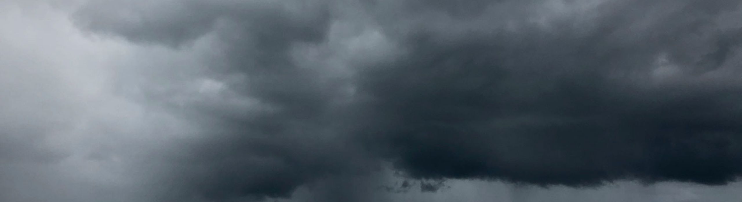 St Pete Hurricane Windows