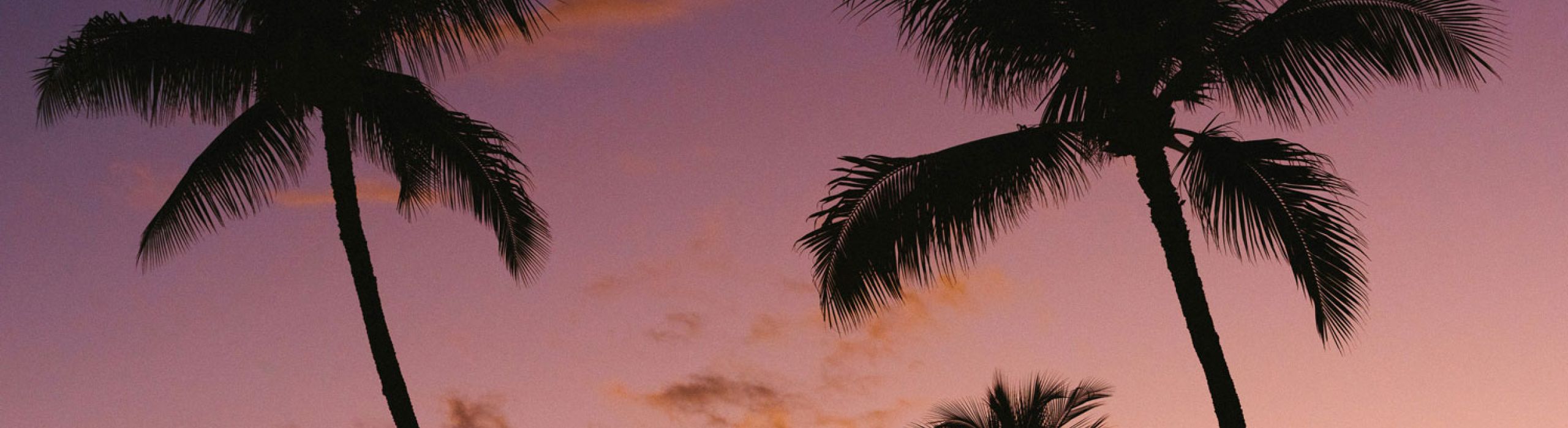 St Pete Window Replacement Near Me