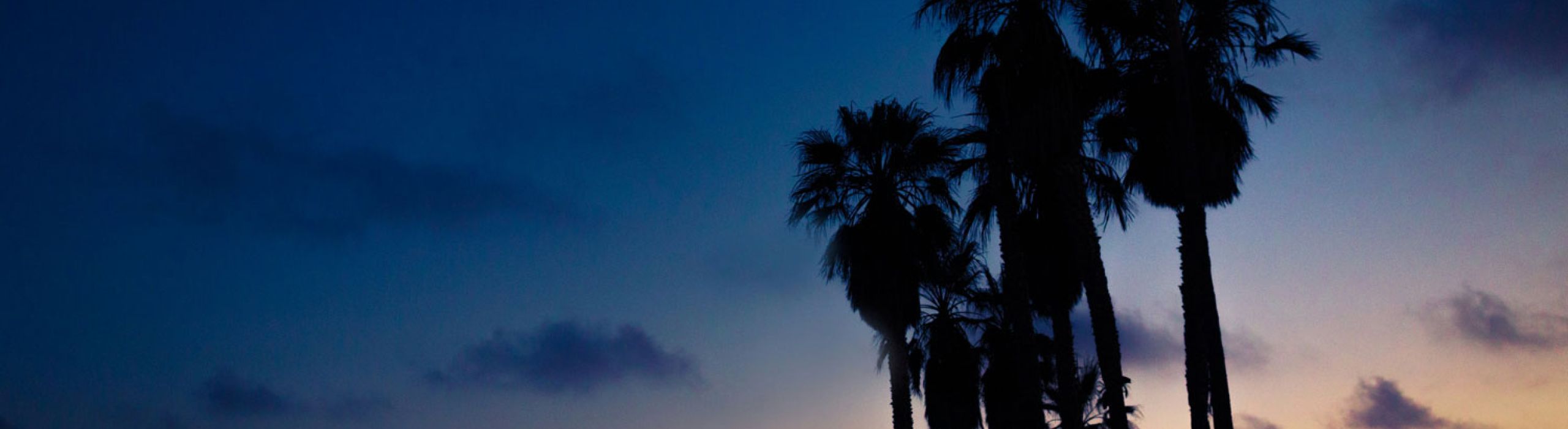 St Pete Window Replacement Near Me