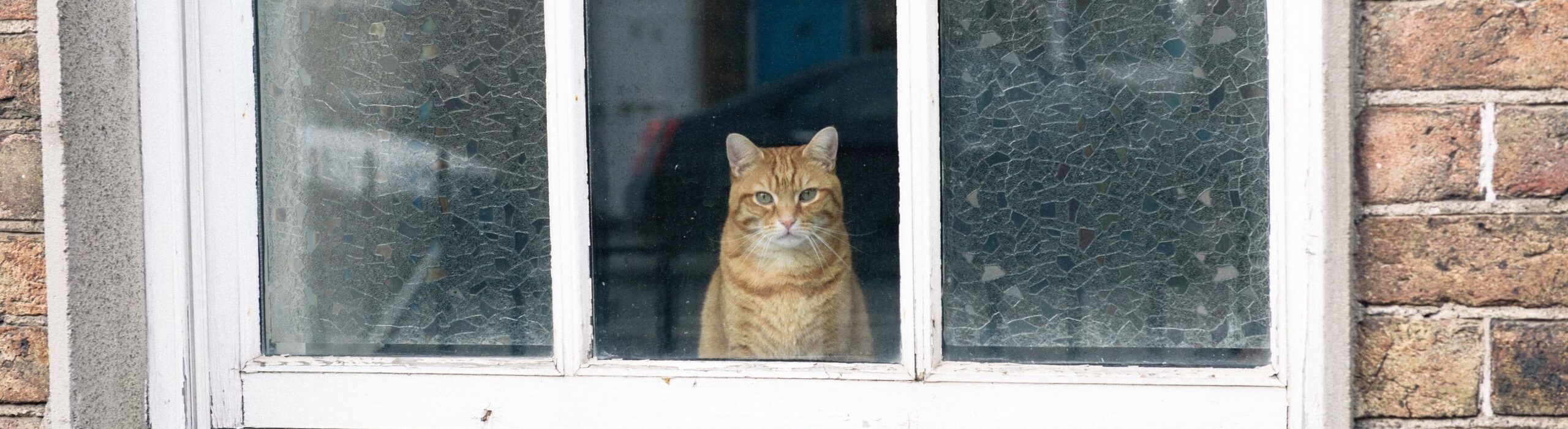 St Petersburg Window Installations