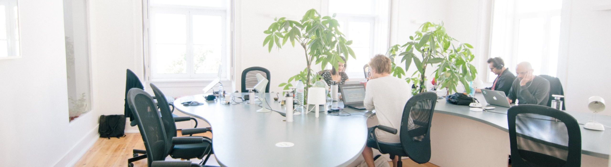 Tampa Bay Commercial Windows