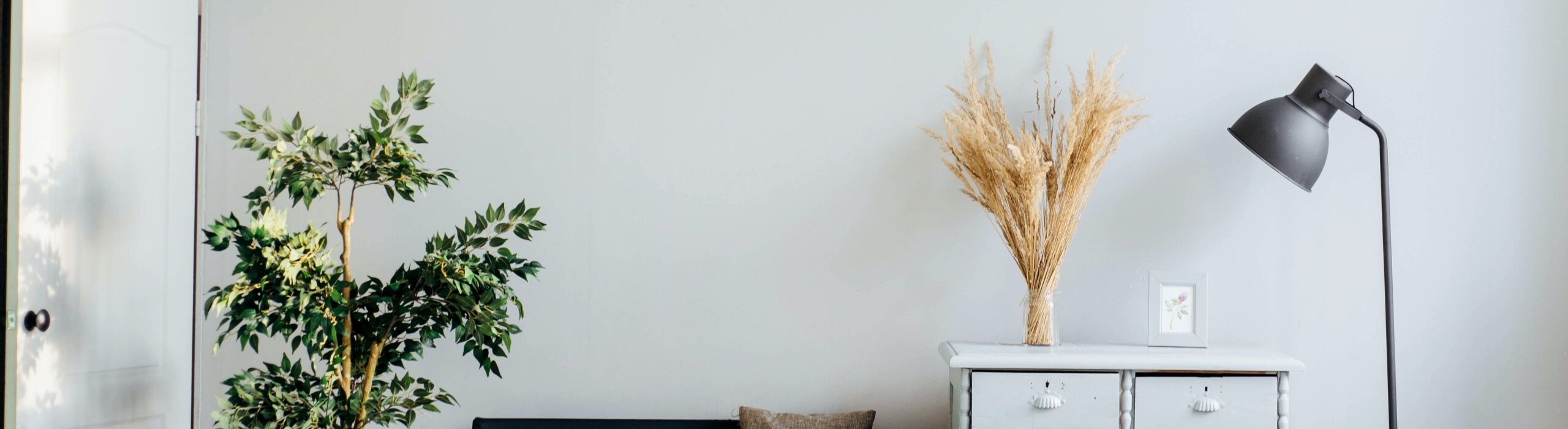 St Petersburg Window Installations