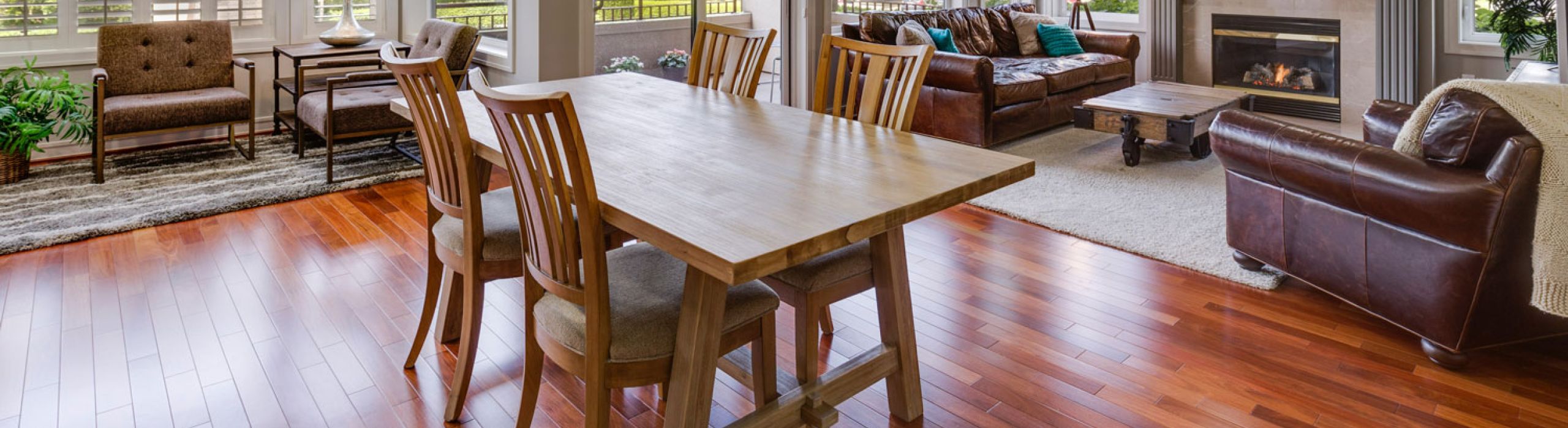 St Pete Window Replacement Near Me