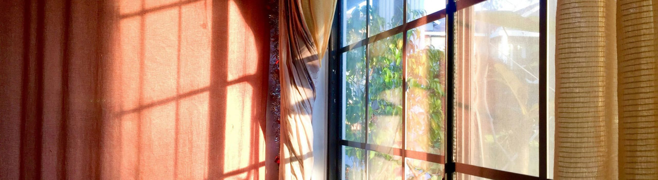 St Pete Window Replacement Near Me