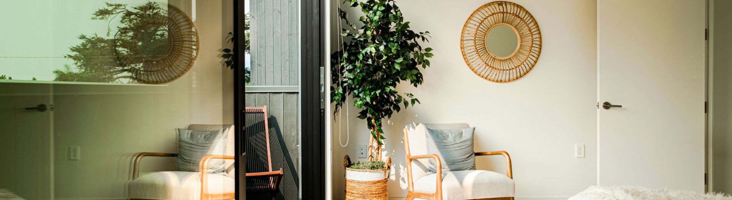 St Pete Window Replacement Near Me