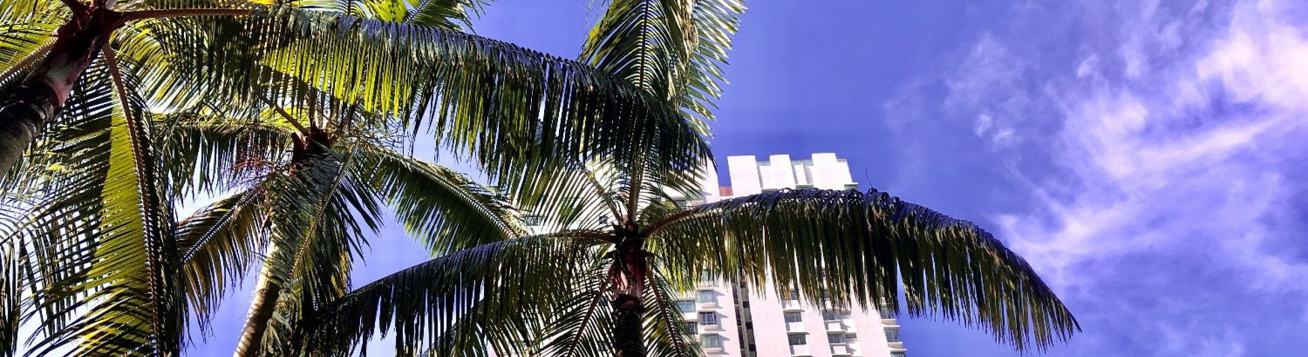 Tampa Bay Hurricane Impact Windows