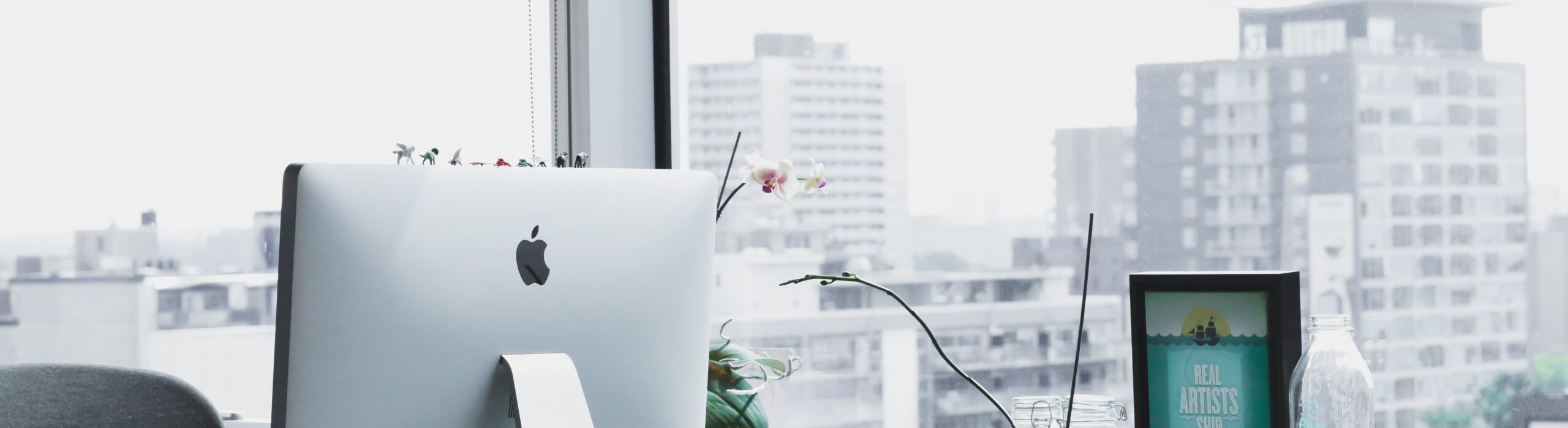 Tampa Bay window installation company