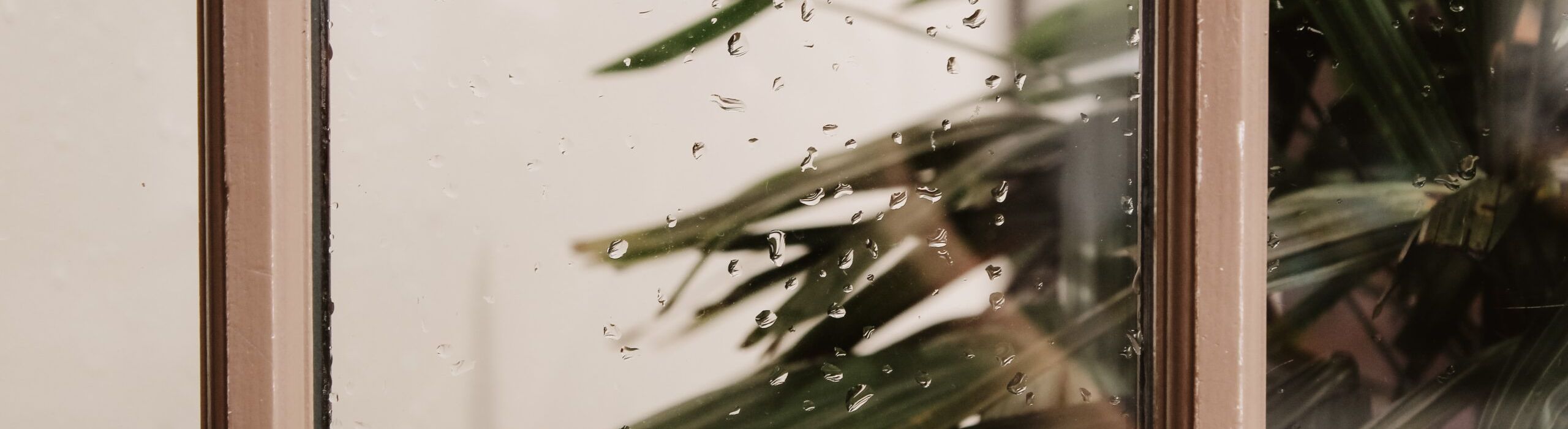 Tampa Residential Windows