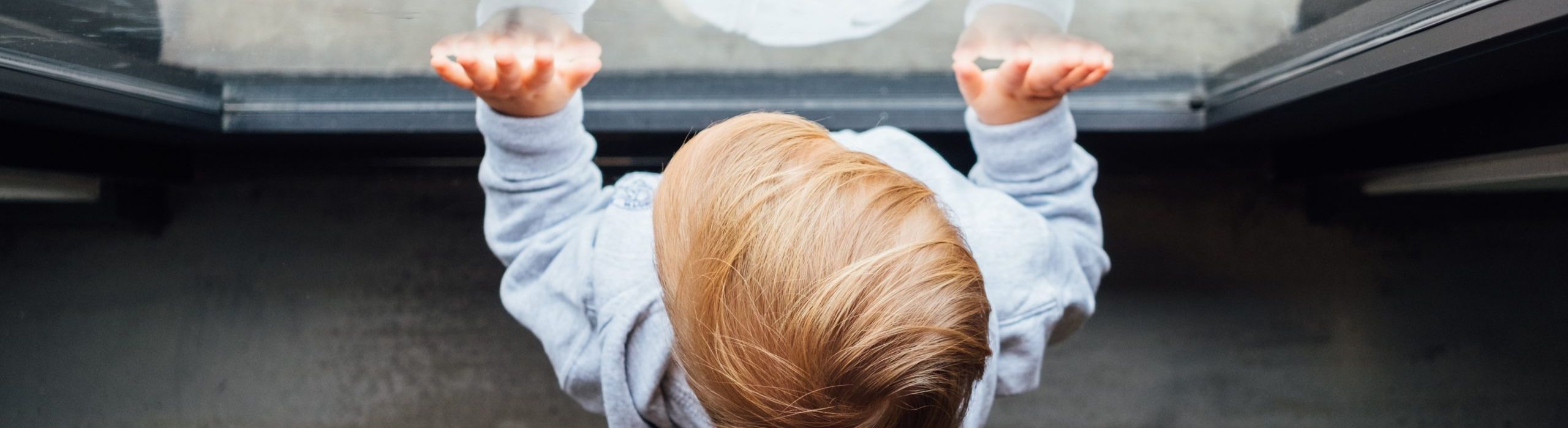 Tampa Bay Residential Windows