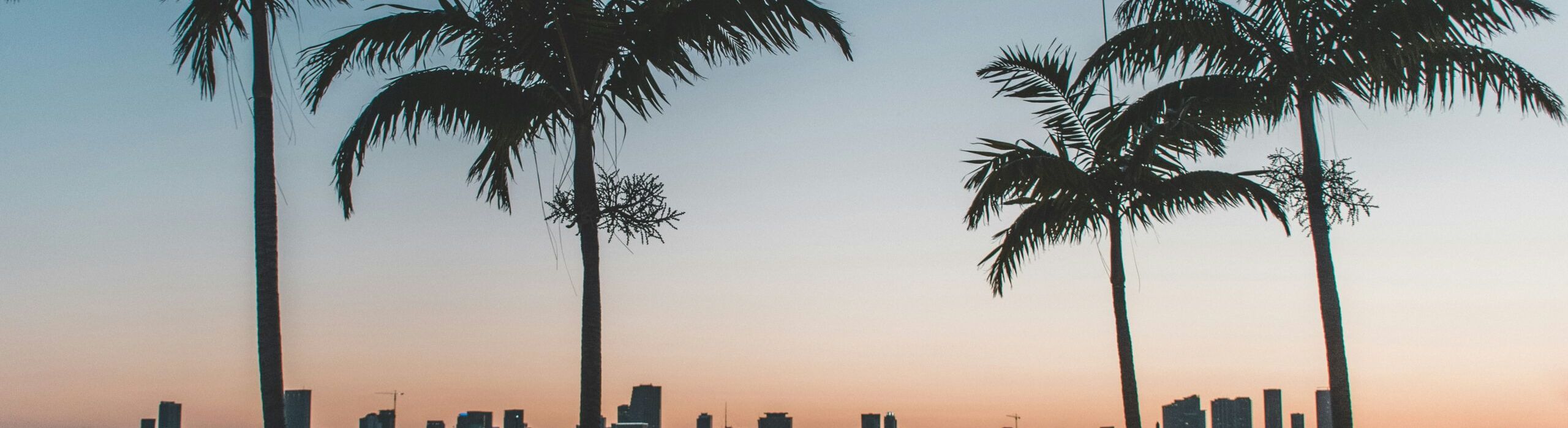 St Pete Hurricane Windows