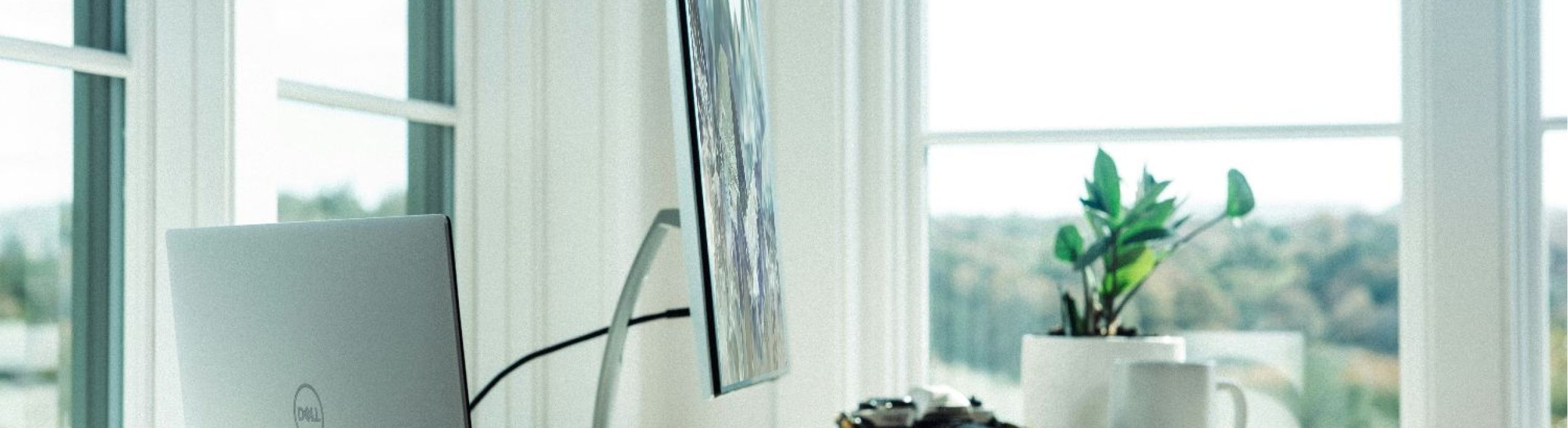 St Pete hurricane impact windows