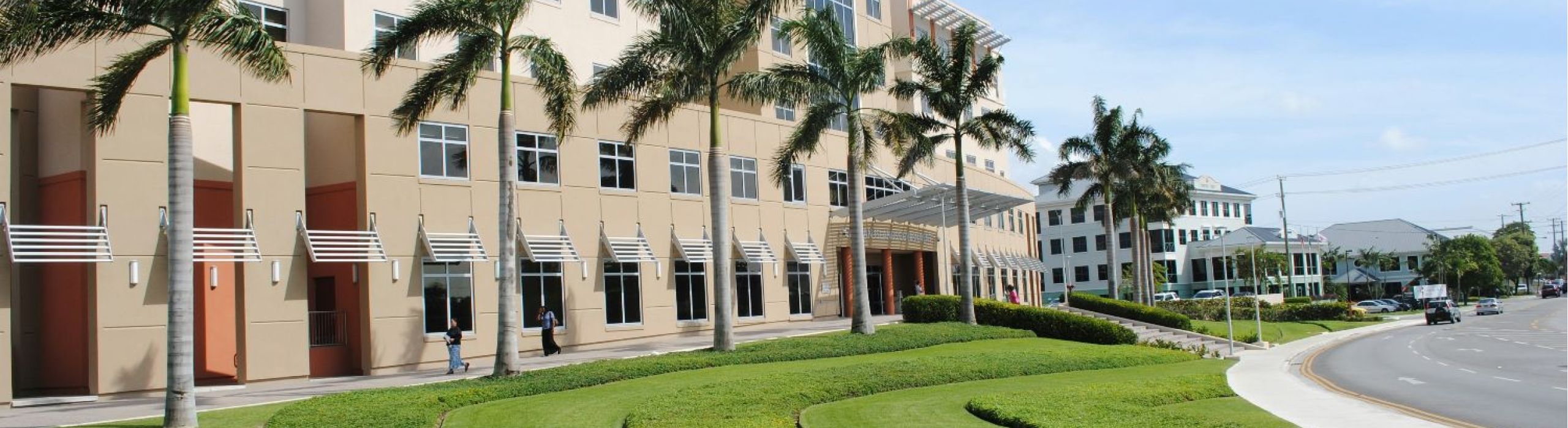 Tampa Bay Window Replacement Services