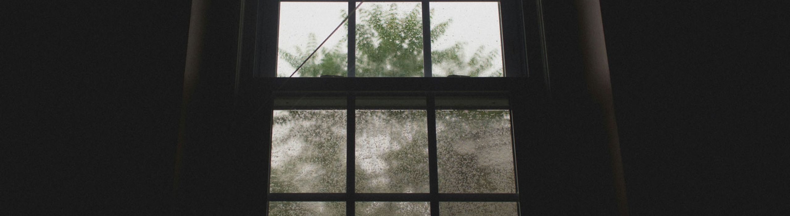 St Pete Window Replacement Near Me