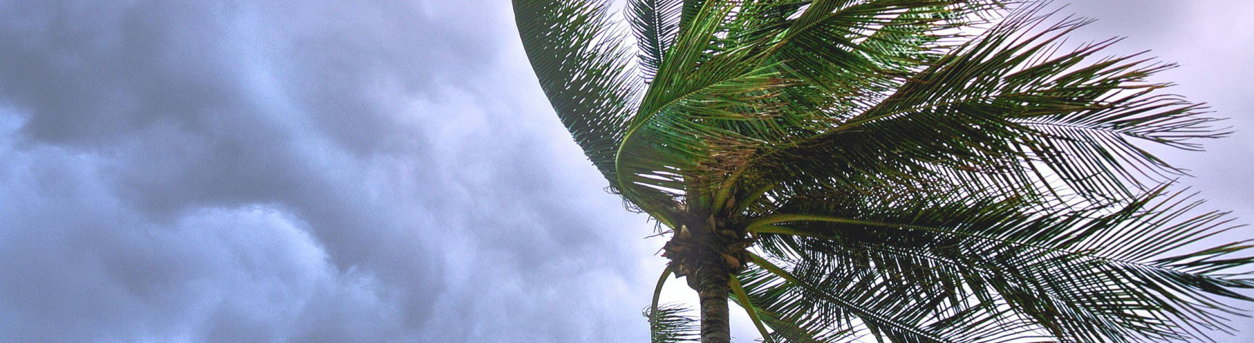 St. Pete Window Company