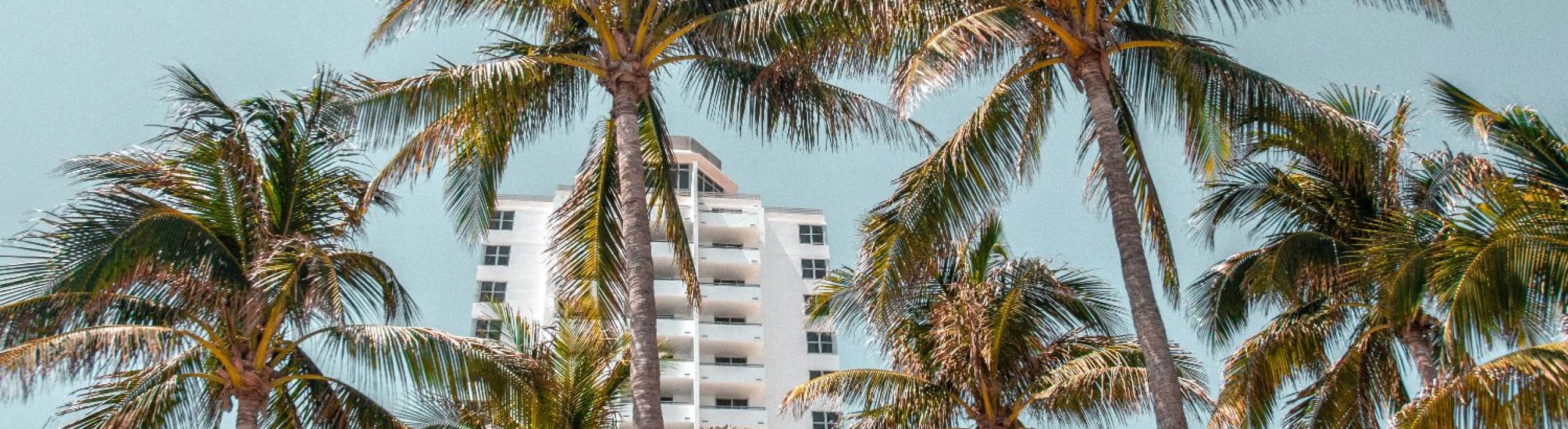 St Pete Hurricane Windows