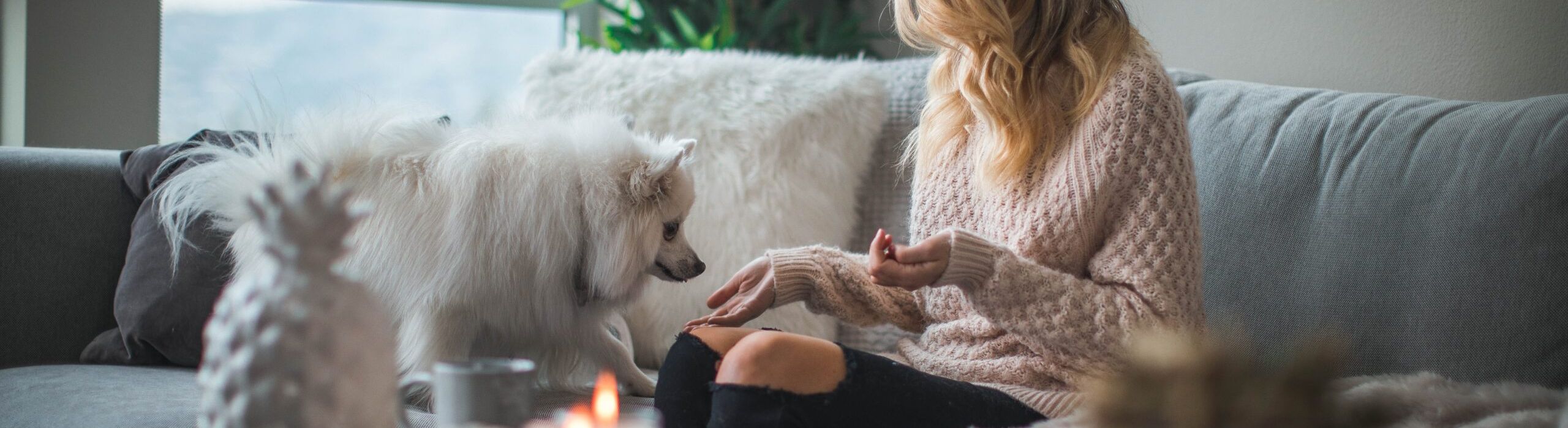 Tampa Residential Windows