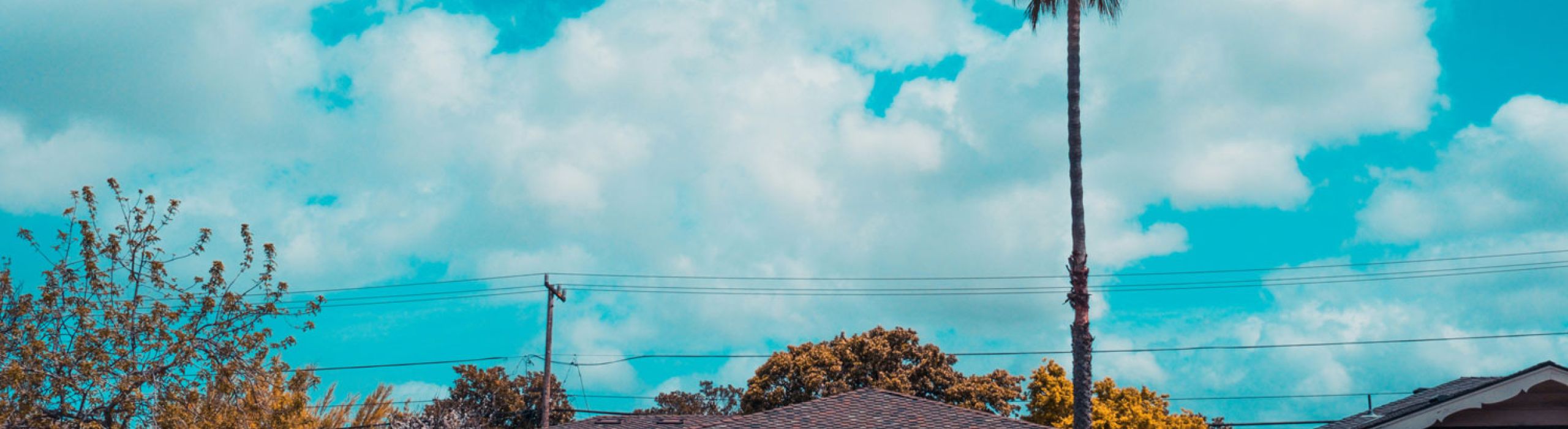 St Pete Window Replacement Near Me