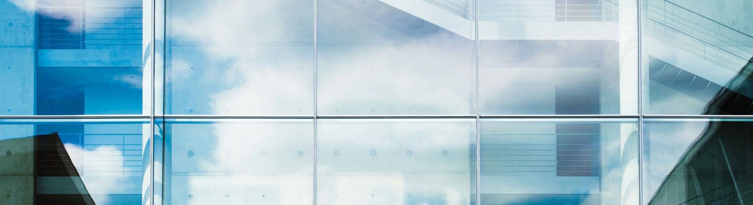 St Pete Window Replacement Near Me