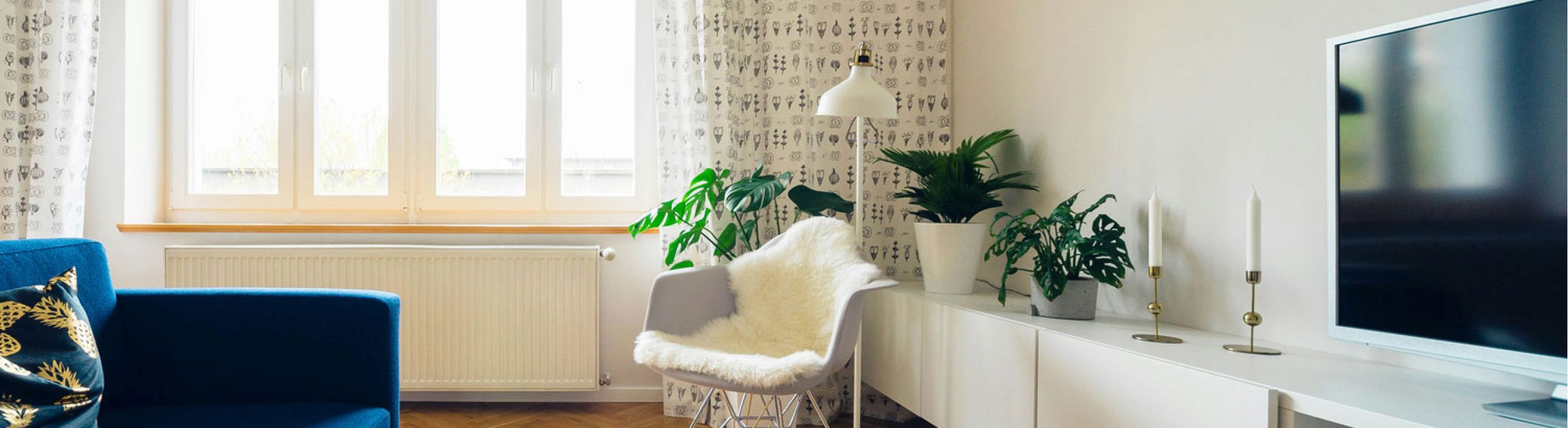 St Pete Hurricane Windows