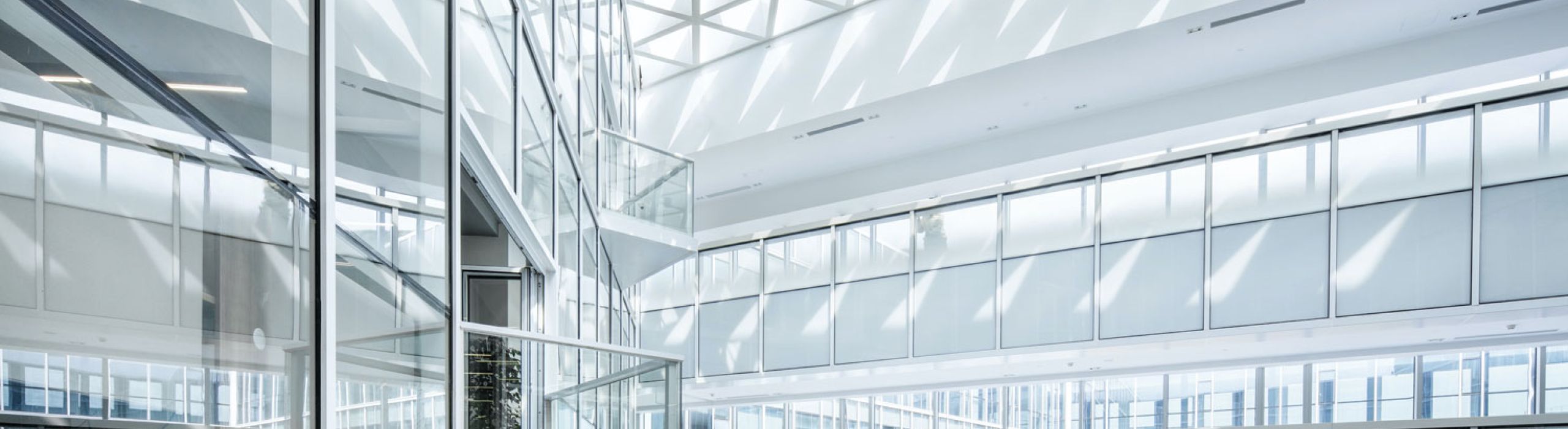 St Pete Hurricane Windows