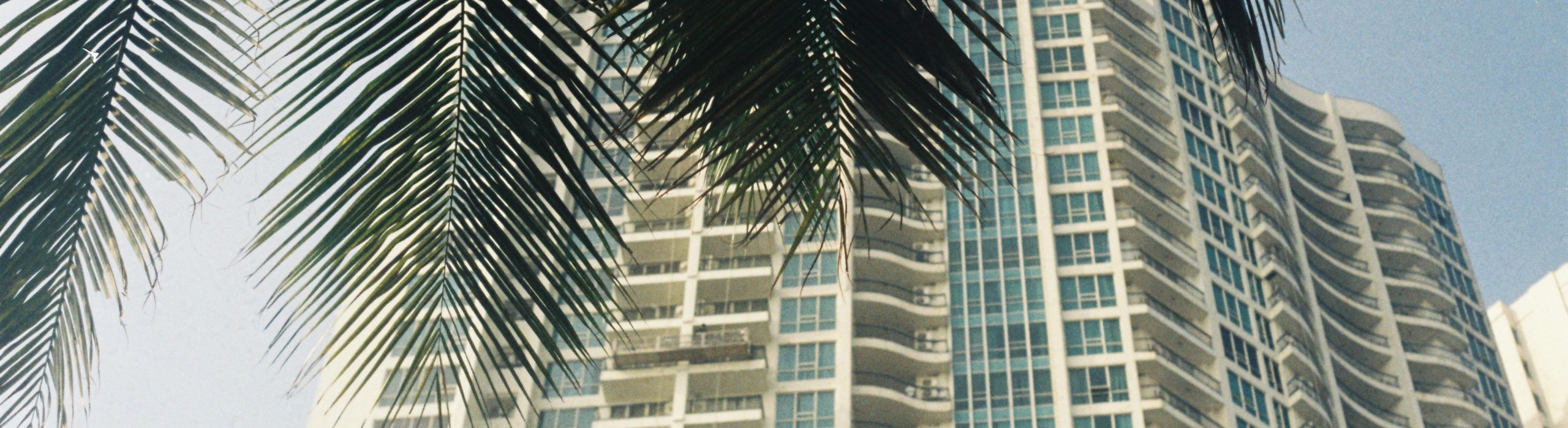 Tampa Bay Condominium Window Requirements