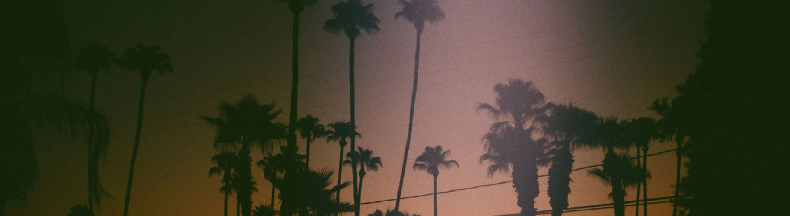 St Pete Window Replacement Near Me