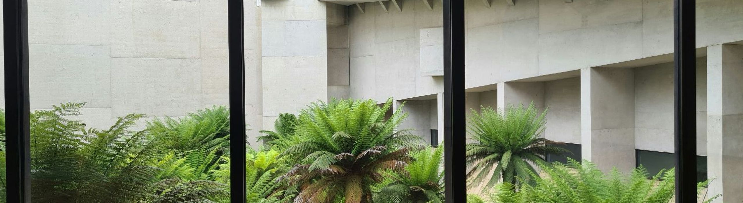 St Pete hurricane impact windows