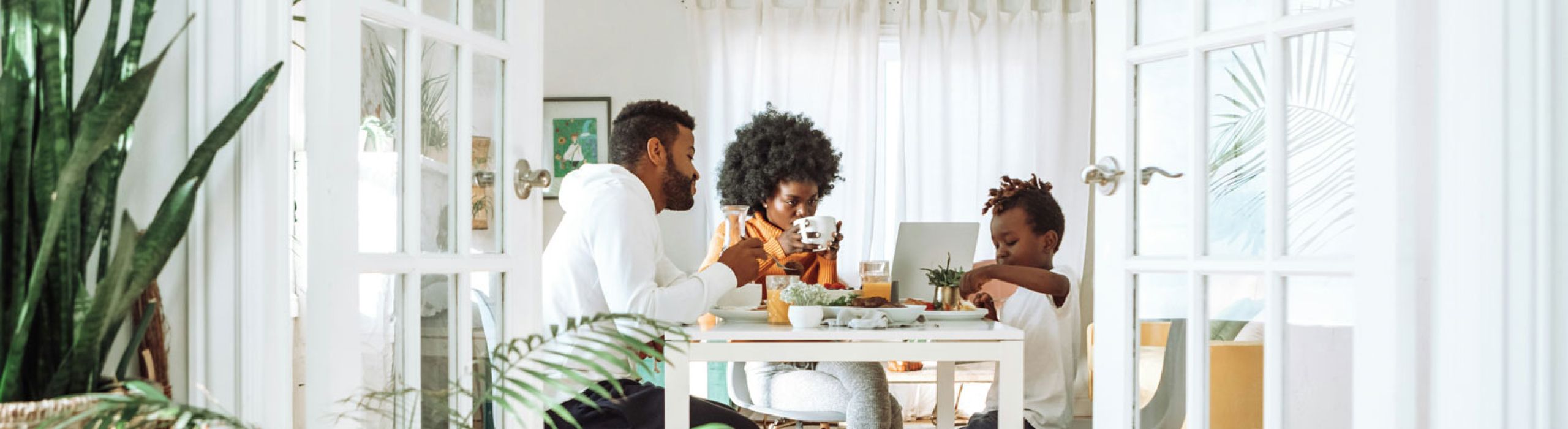 St Pete Hurricane Windows