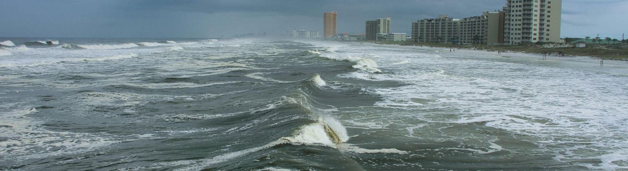 St Pete Window Replacement Near Me
