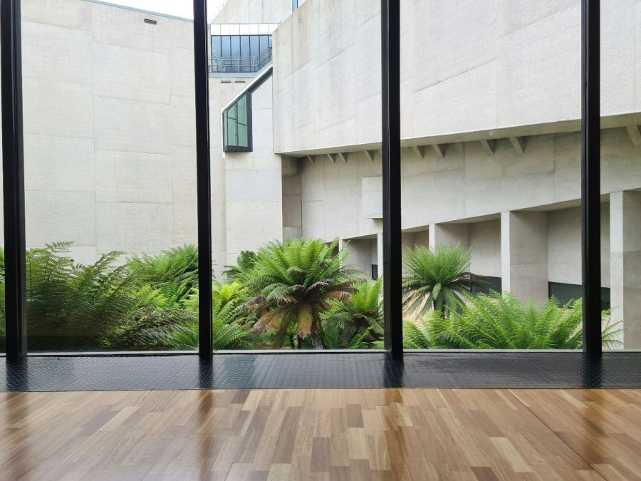 St Pete hurricane impact windows