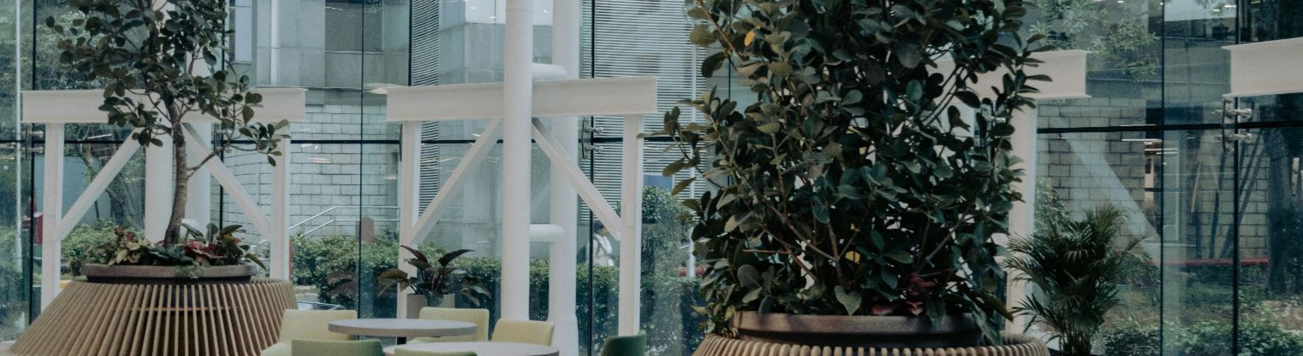 St Pete hurricane impact windows