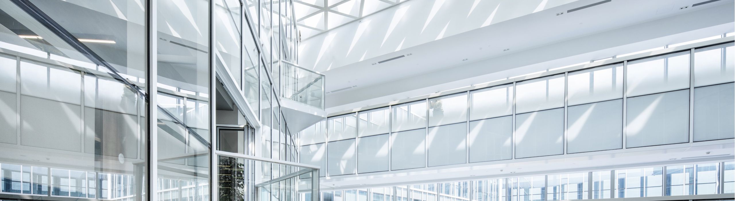 Tampa Bay Commercial Windows